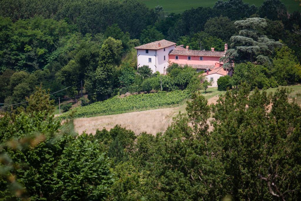 Апартаменты Poggio A Sieve Villore Экстерьер фото
